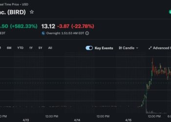 連虧五年製鞋廠轉型 AI 算力公司?Allbirds 股價單日暴漲 582%
