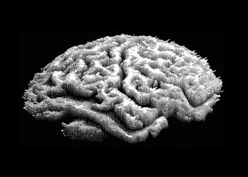 每天滑短影音、IG 毀了你的思考能力！寫點 essay 可能是人類的救贖之路 