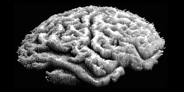 每天滑短影音、IG 毀了你的思考能力！寫點 essay 可能是人類的救贖之路 